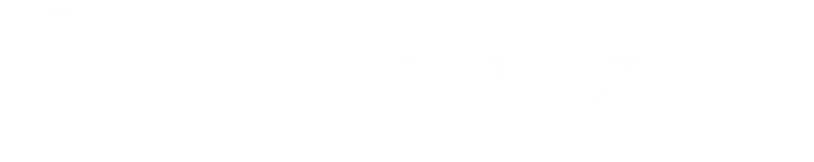 The Peralta Brothers Logo