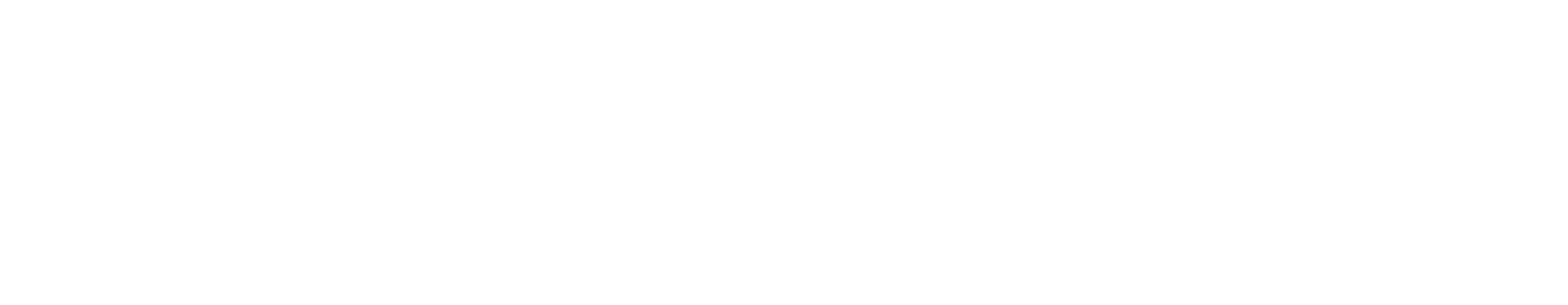Carolina Malewicz Logo