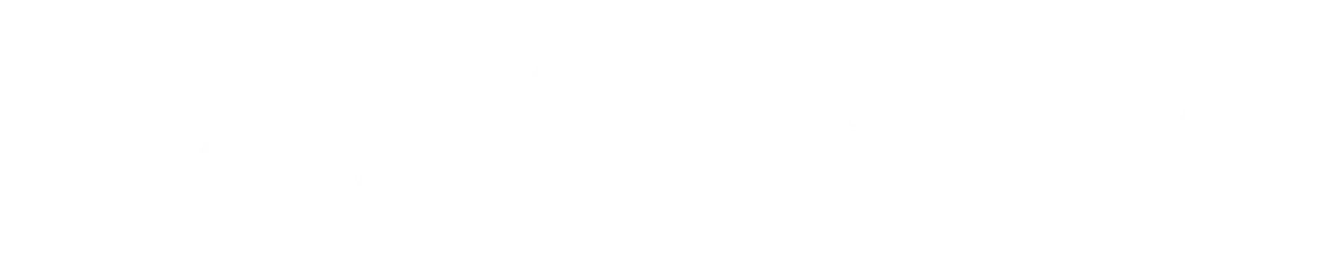 CASA FLORIDA GROUP Logo