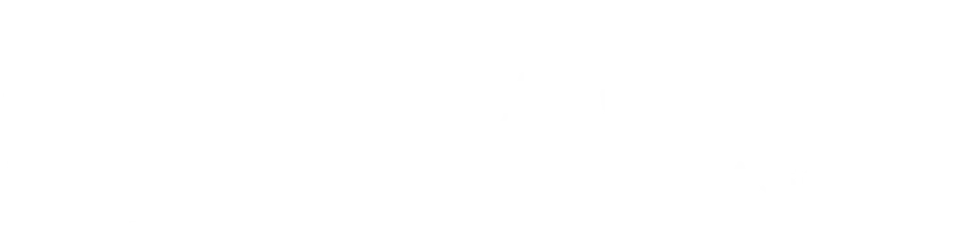 Ilana Gross Logo