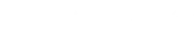 Ilana Gross Logo