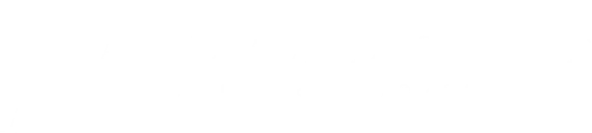 Angela Andronache Logo