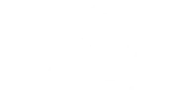 Tropical Springs Realty Logo