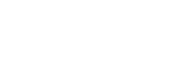 The Network Group Logo