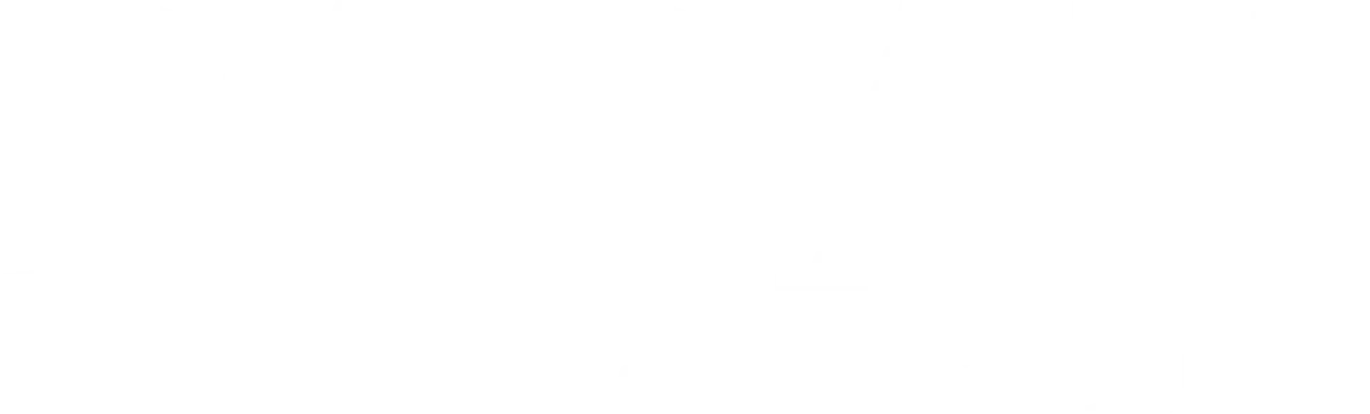 PARAN INTERNATIONAL GROUP Logo