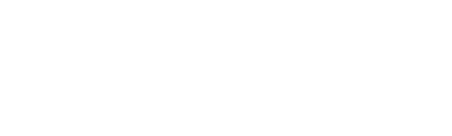 PARAN INTERNATIONAL GROUP Logo