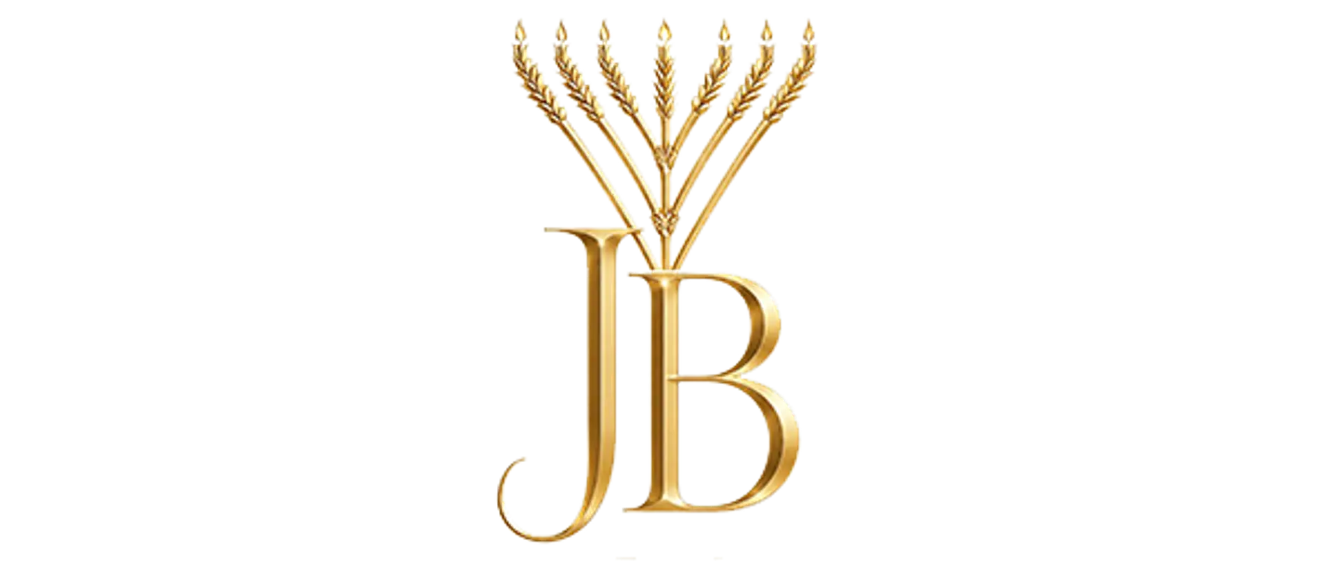 Janet Ben Zvi Logo