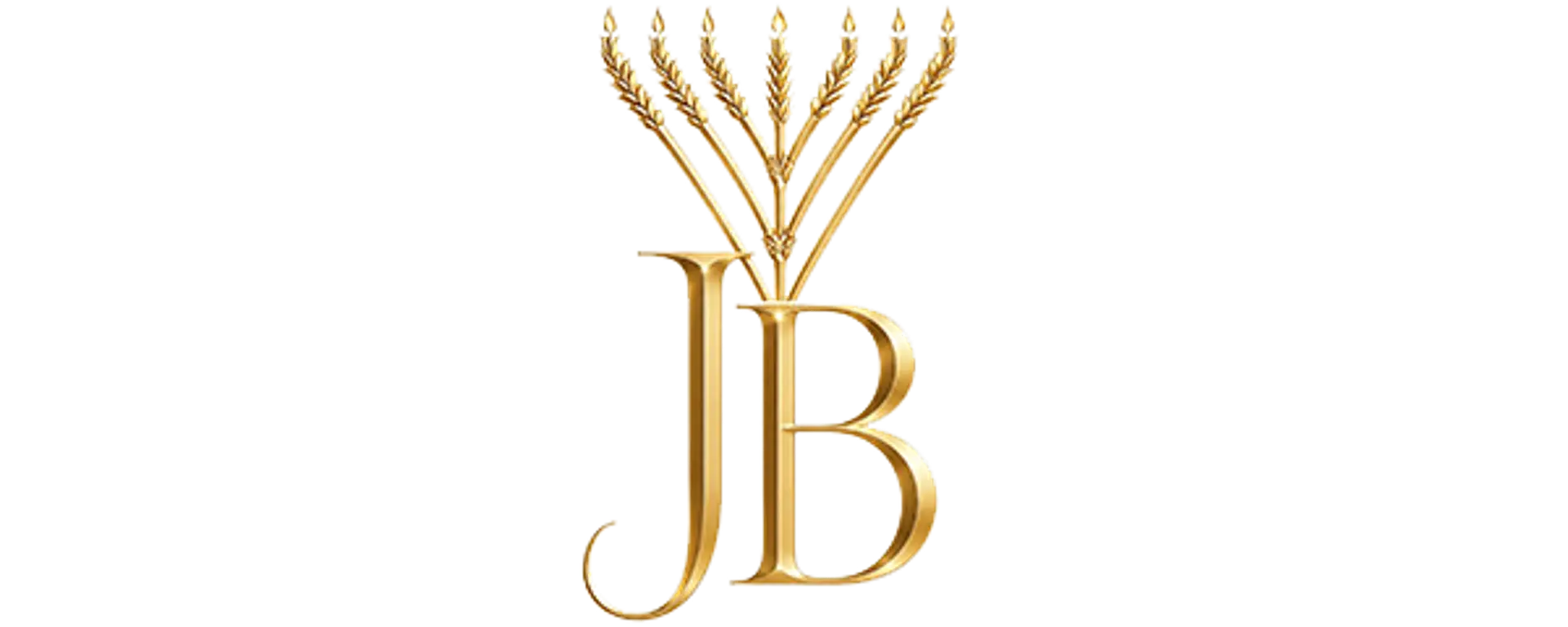 Janet Ben Zvi Logo