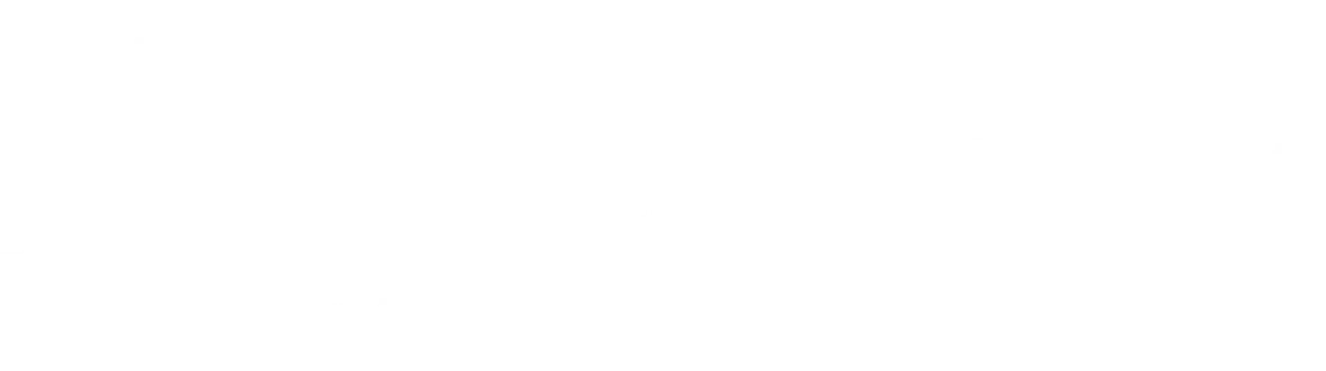 Julia Tarantseva Logo