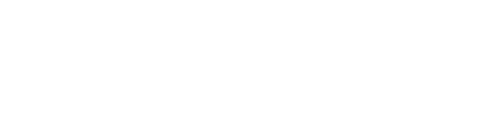 Nataly Stuart Logo