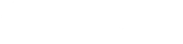 Nataly Stuart Logo