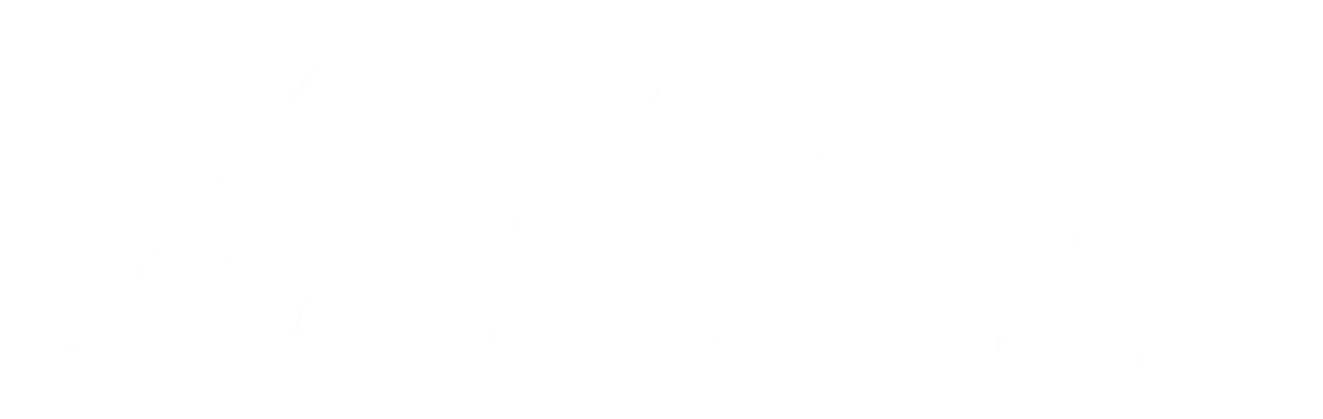 Rachel Wertheimer Logo