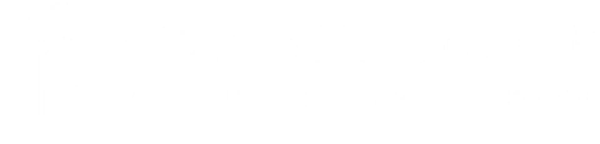 The Pagani Group Logo