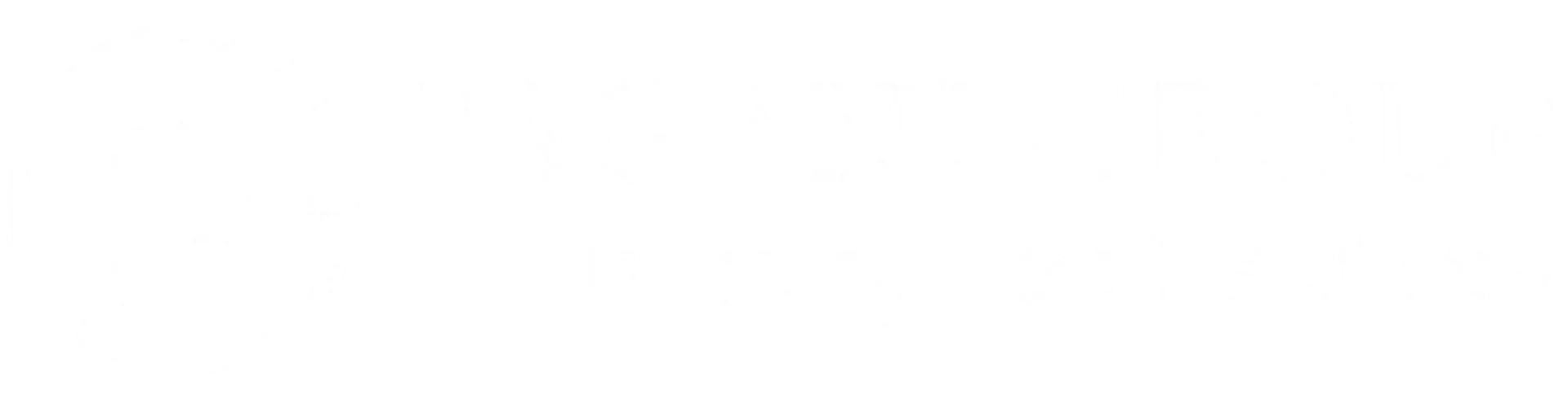 The Pagani Group