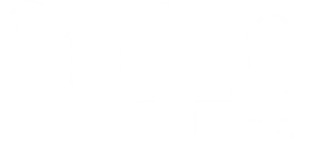 SOFLO INTERNATIONAL REALTY Logo