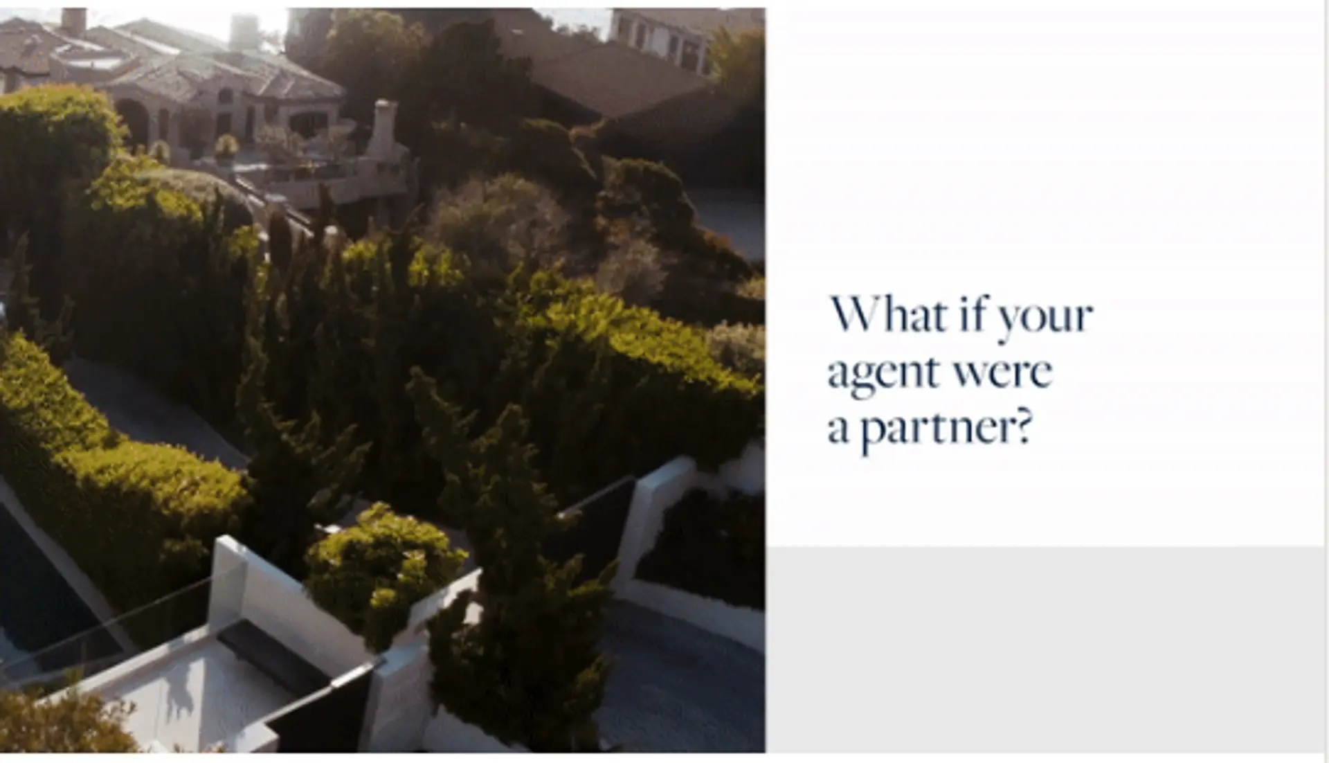 featured image for story, What if?