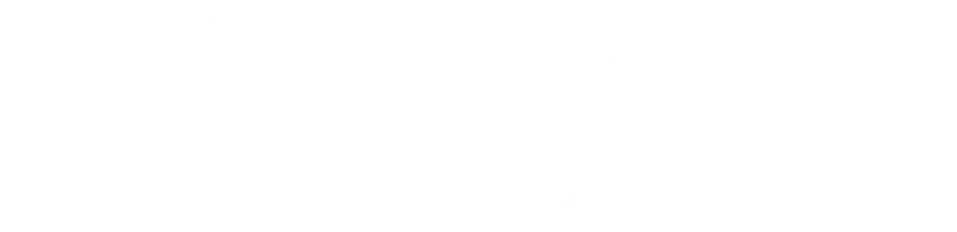 Nathalie Fernandez Logo