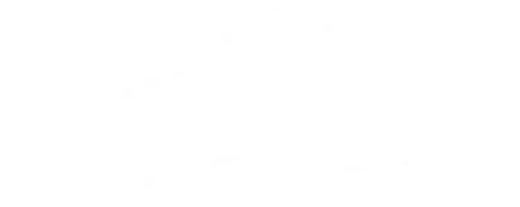 Vladimir Kovrizhnykh Logo