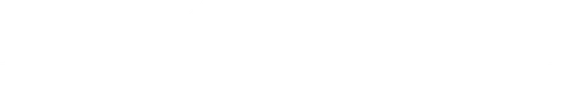 Irina Mironova Logo
