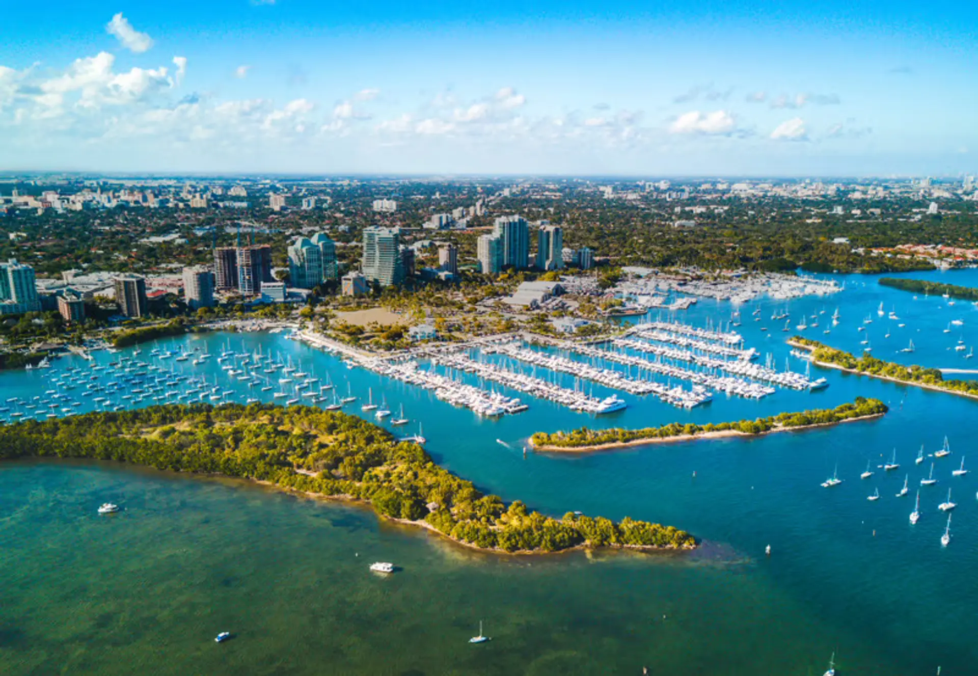 featured image for story, ¿Qué Hace a Coconut Grove, Miami, Tan Atractivo para Inversionistas?