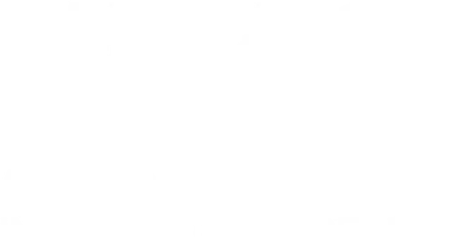 AMG Intl Realty Logo