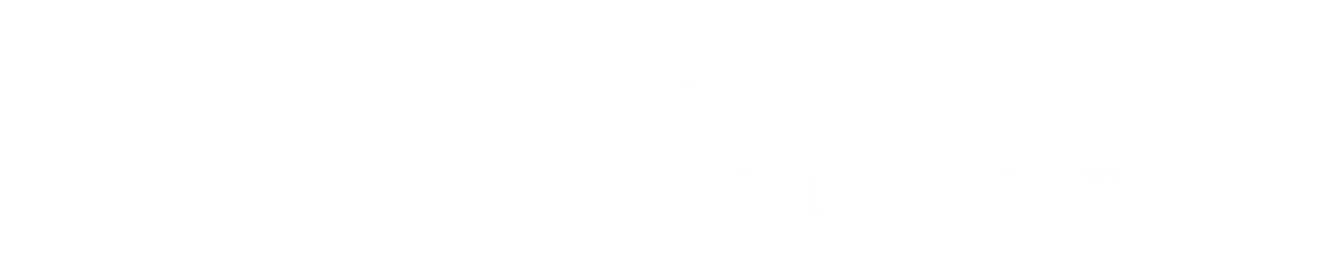 Silvana R. Stern Logo