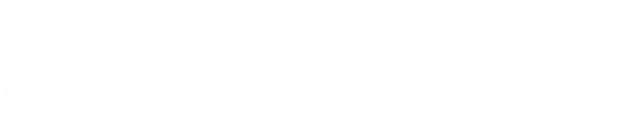 Silvana R. Stern Logo