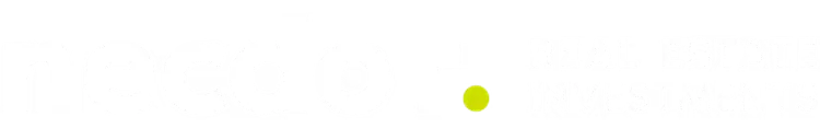 Necdot Logo