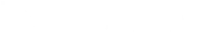 Damira Liberman Logo