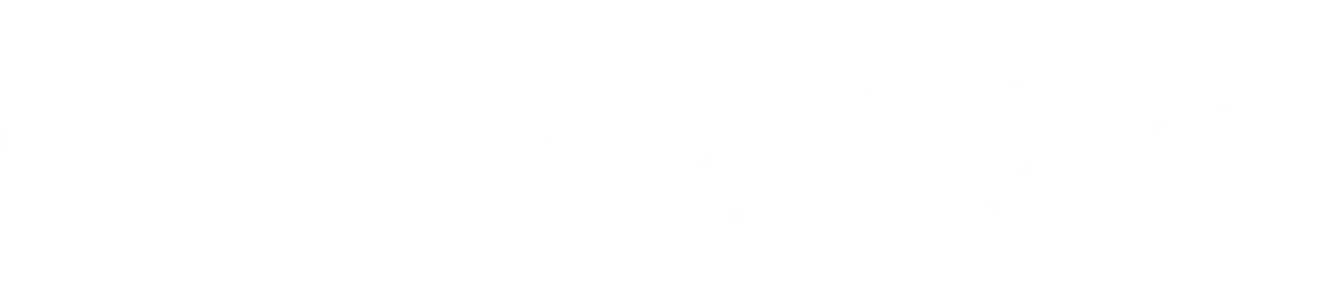 Nadia Infantyeva Logo