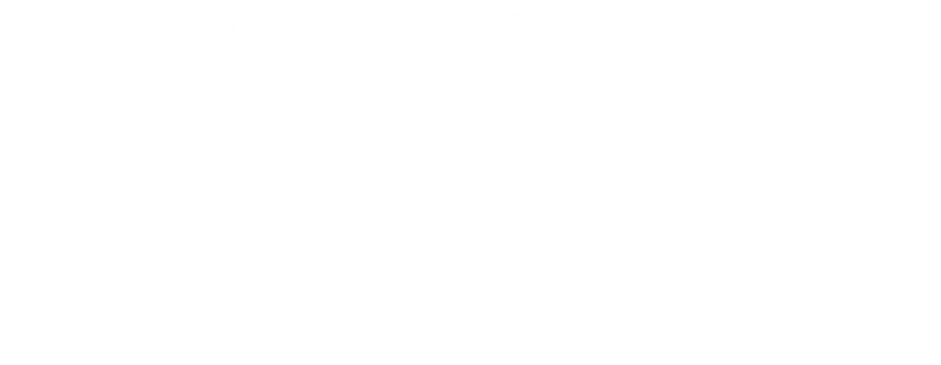 Sanja Kojic Logo
