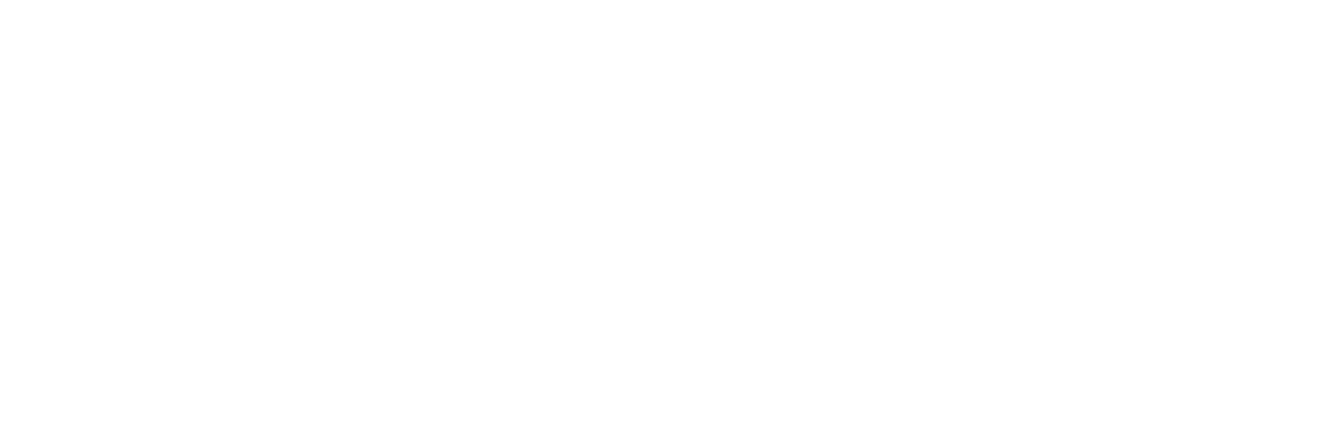 Veronica Dooley Logo