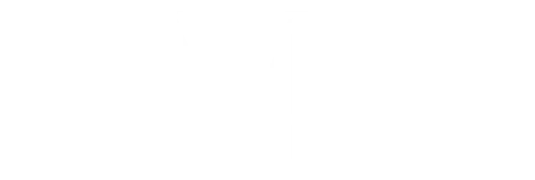 Veronica Dooley Logo