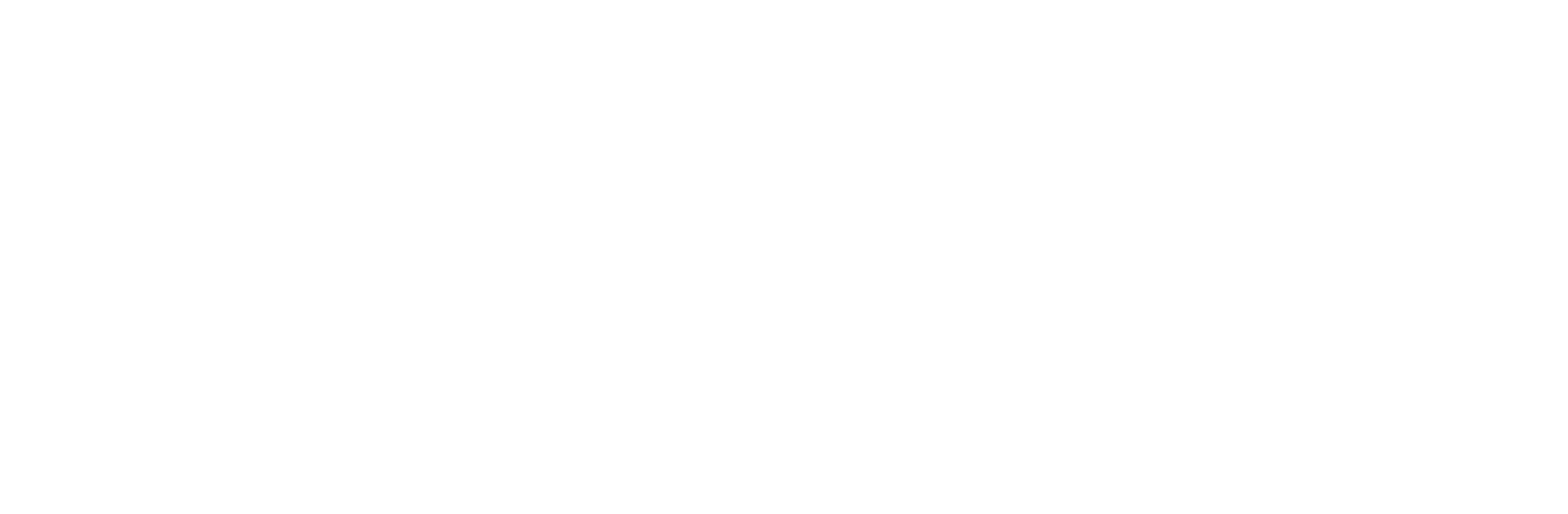 Annette Vass Logo
