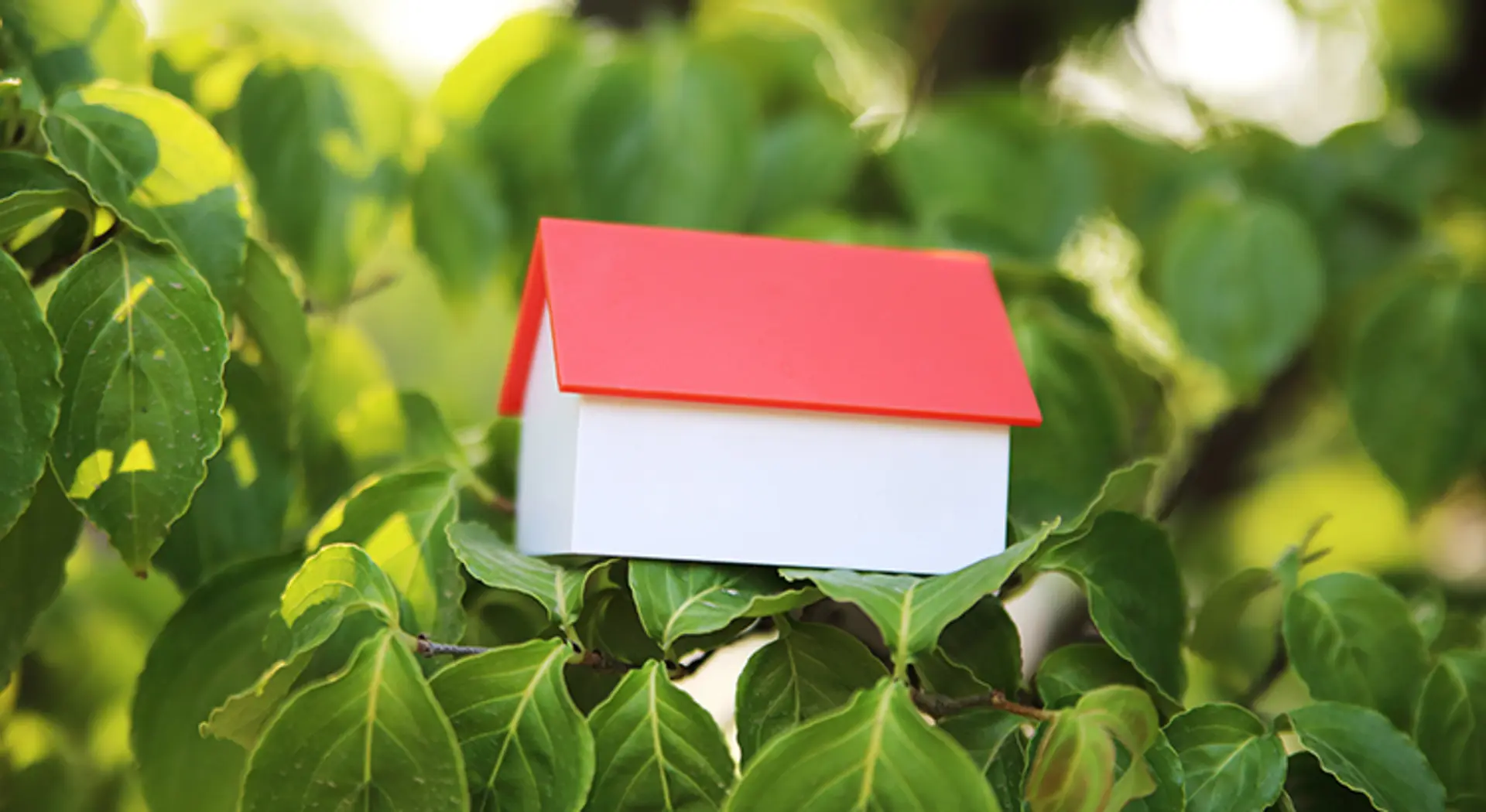 featured image for story, Foreclosure Numbers Today Aren’t Like 2008