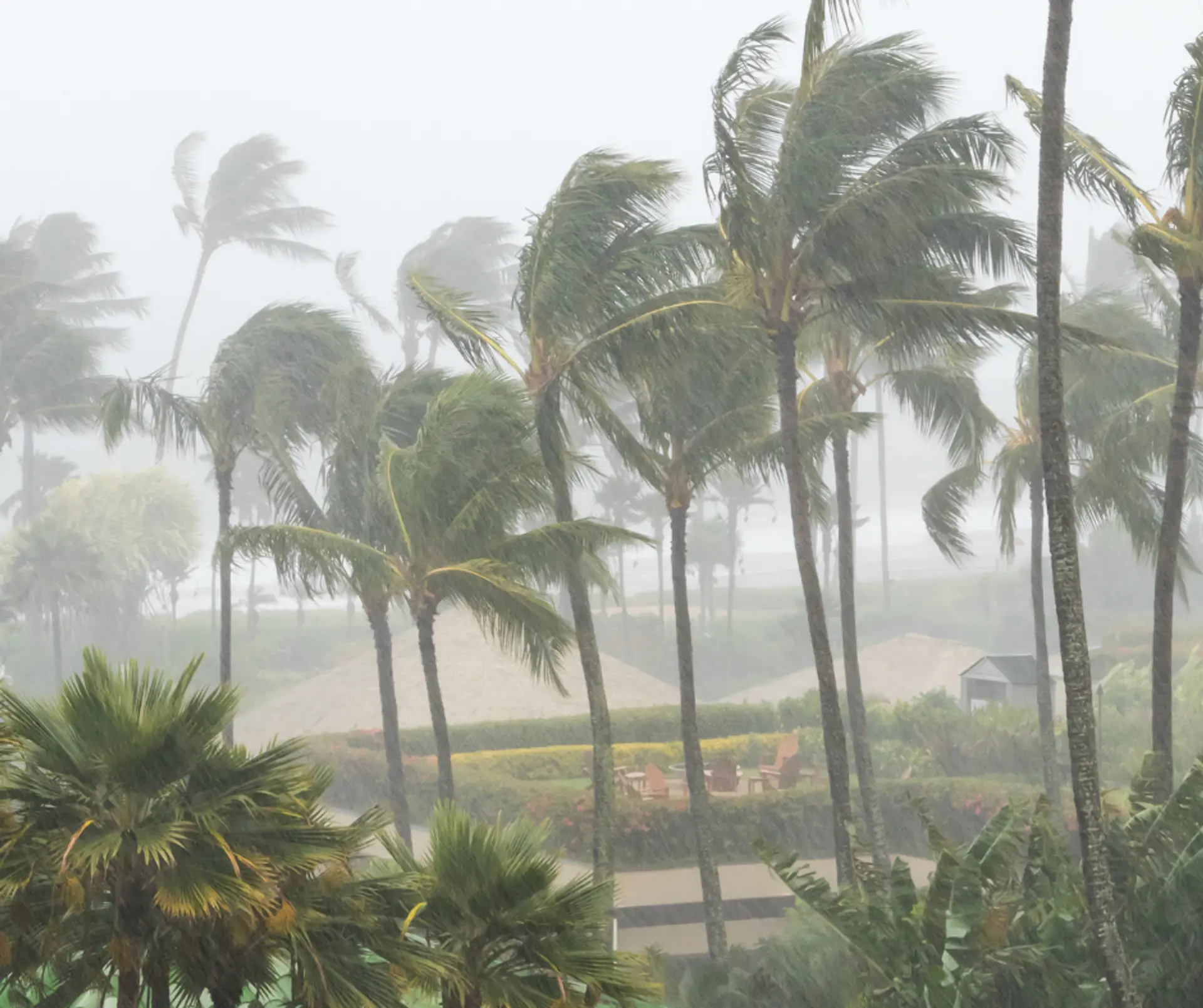 featured image for story, Preparáte para la temporada de huracanes: Asegurando que tu techo pueda soportar
la tormenta