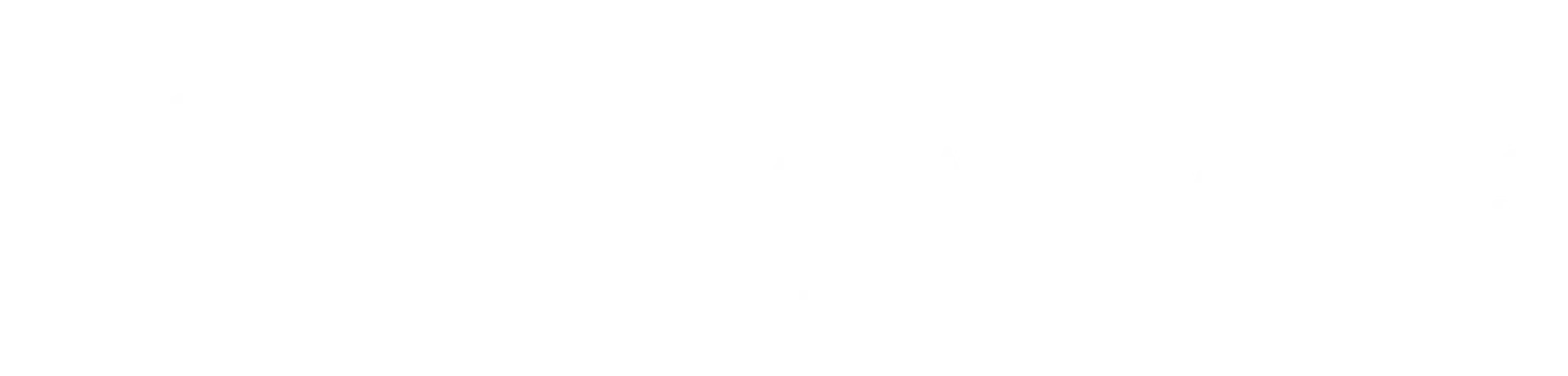 Irma Maria Valdes Logo