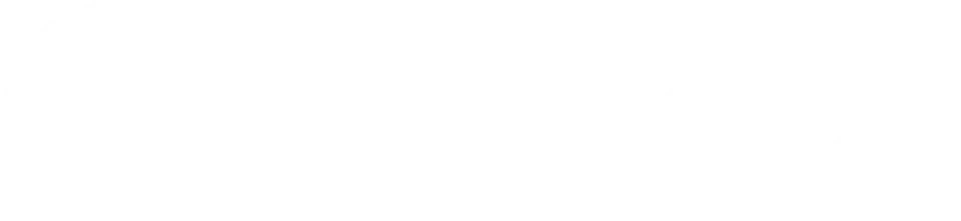 The Carolinas Team Logo