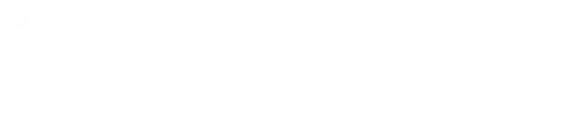 The Carolinas Team Logo