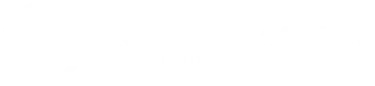 The Carolinas Team Logo