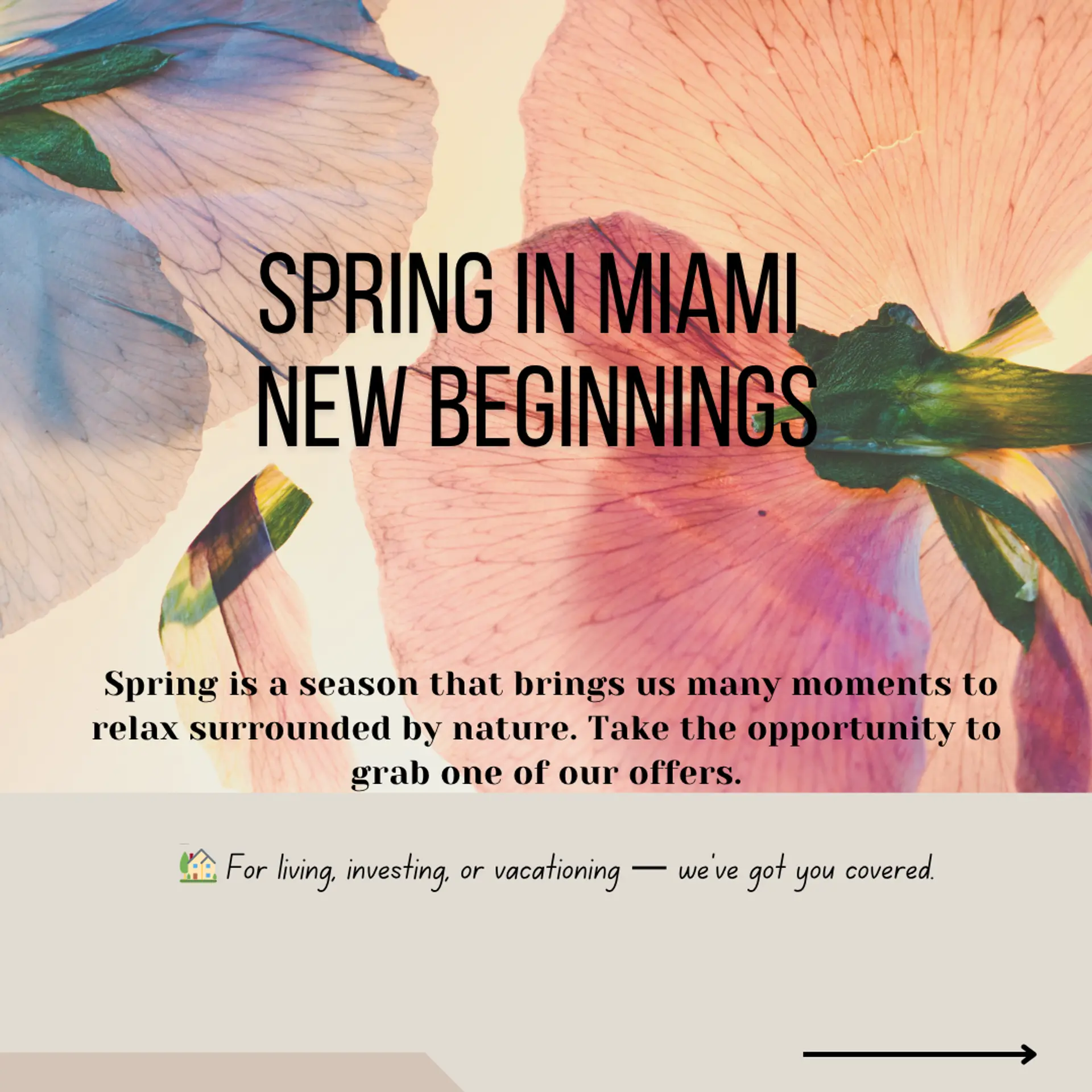 featured image for story, Spring Season and the last deals, grab one of than our offers.