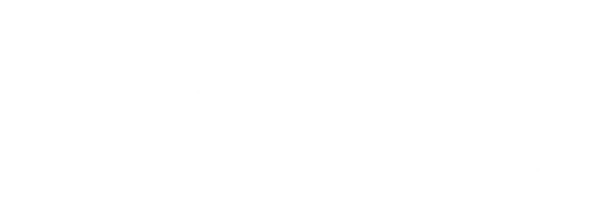 Aleksandra Shevchenko Logo