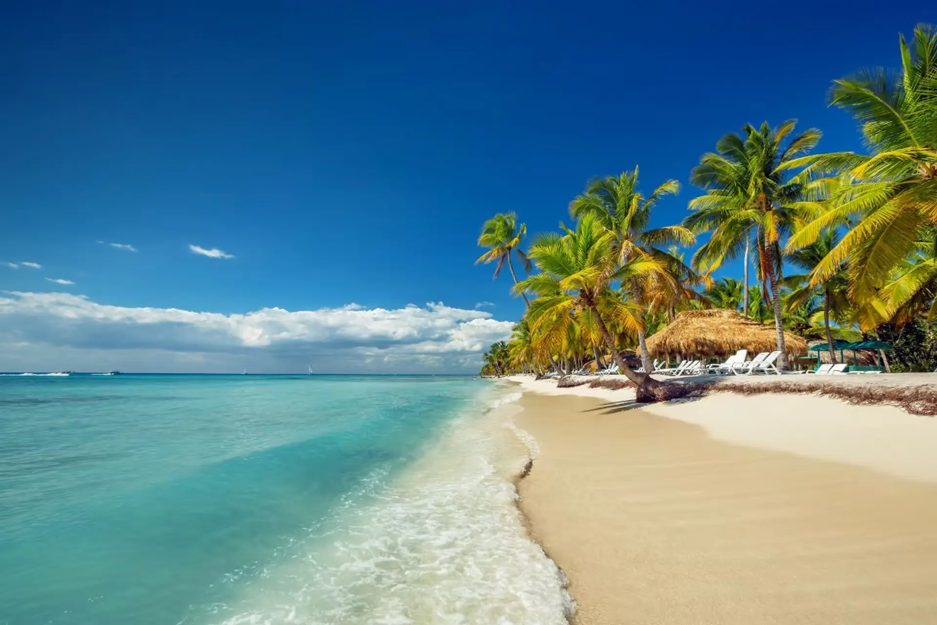 featured image for story, Now Selling in Punta Cana!