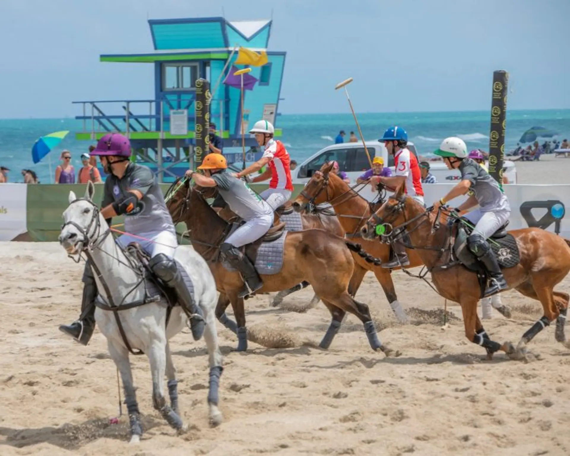 featured image for story, Our monthly Guide! Things To Do in Miami in November
