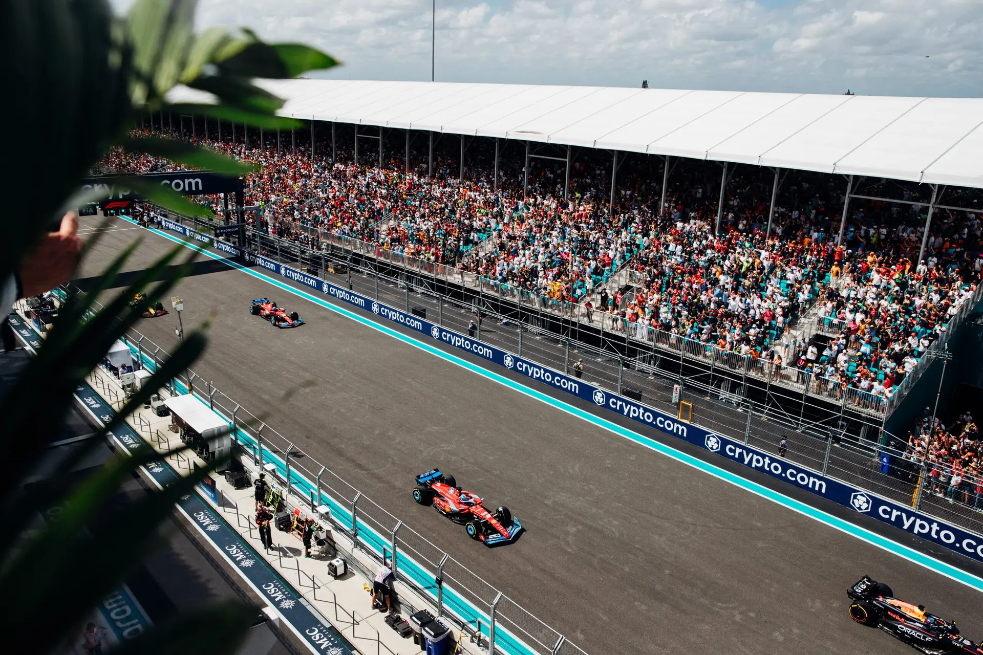 featured image for story, Our monthly Guide! Things To Do in Miami in May
