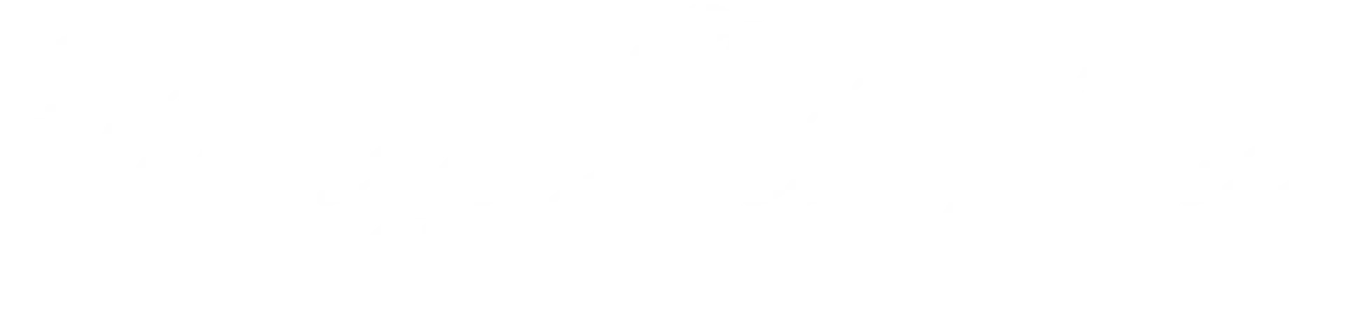 Marzio Bonanni Logo