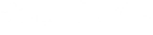 Marzio Bonanni Logo