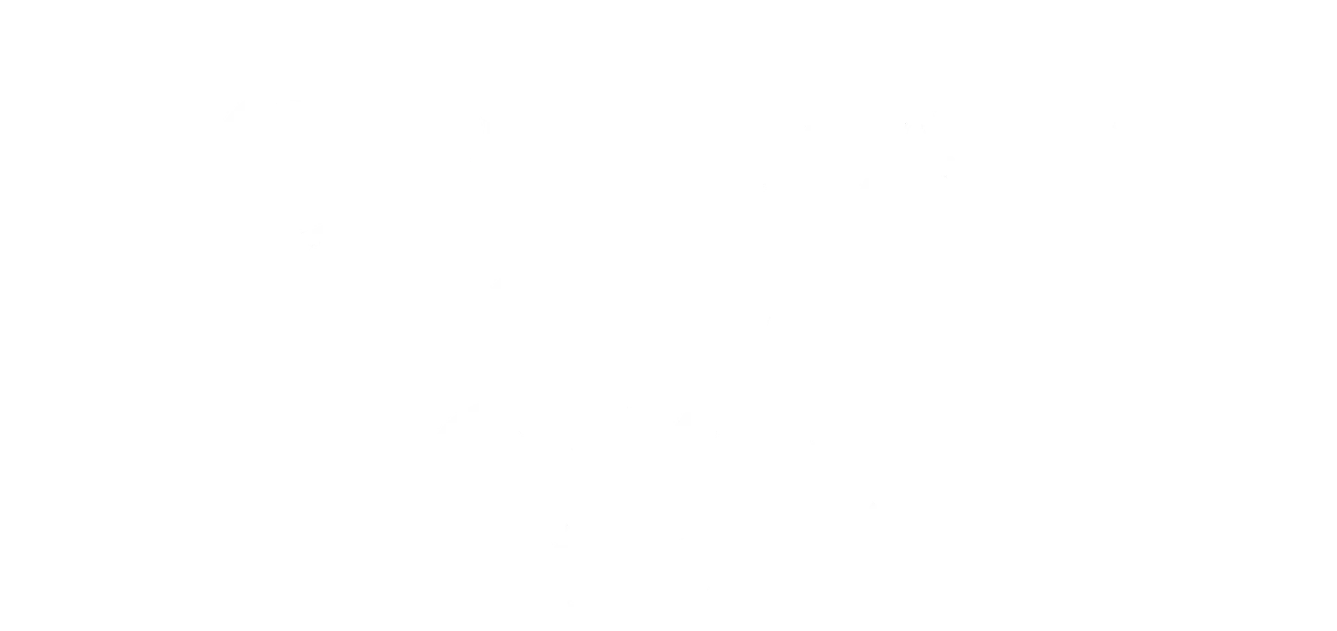 OPTIMAR Group Logo