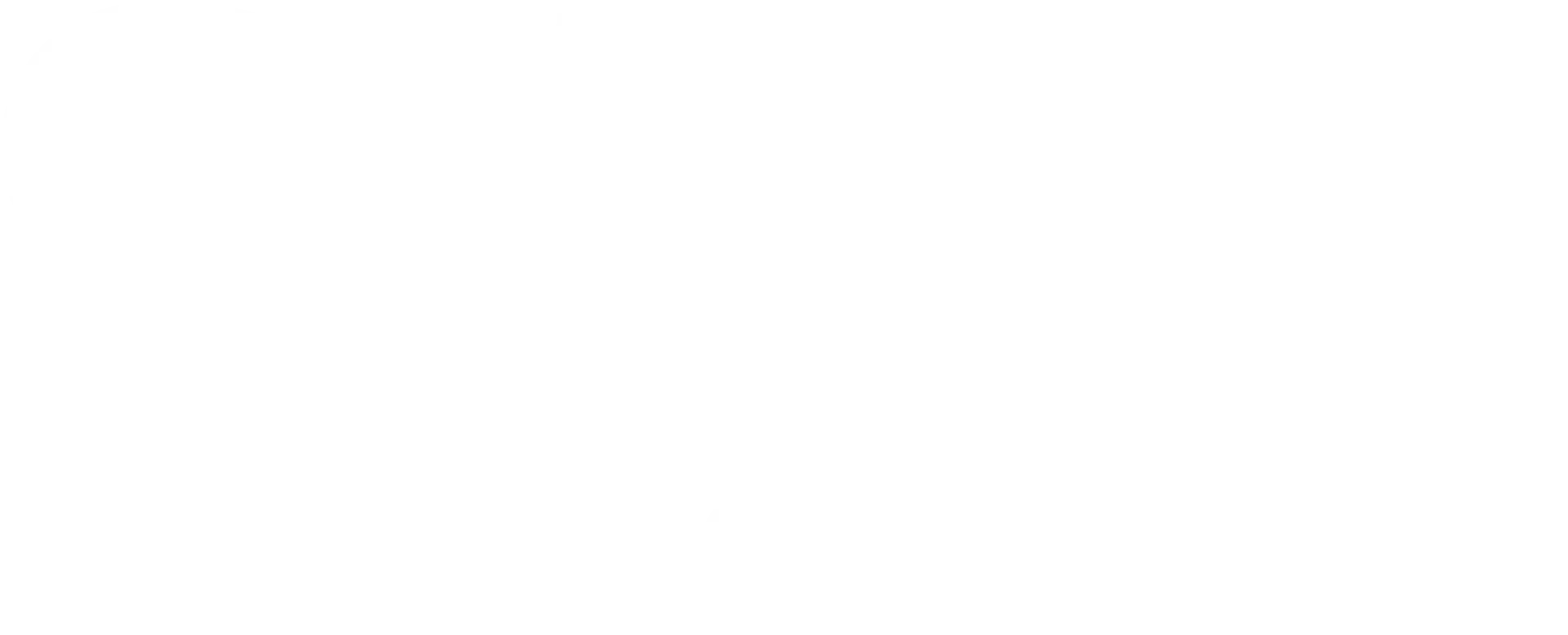 Taylor Travaglione Logo