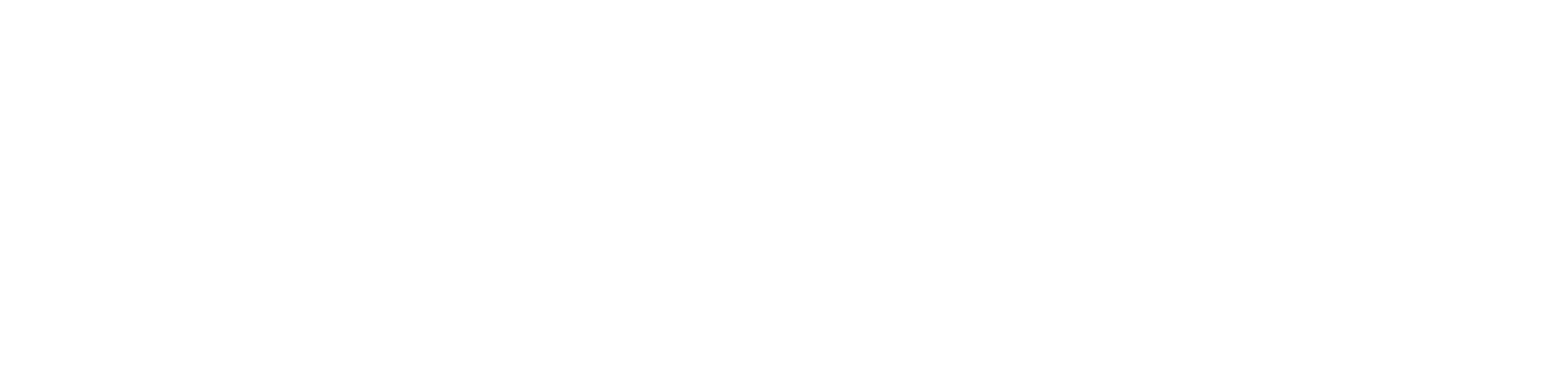 Tomas Hoffmann Logo